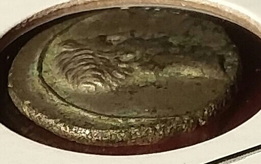 Possible-Silver-Roman-Coin-Charriot