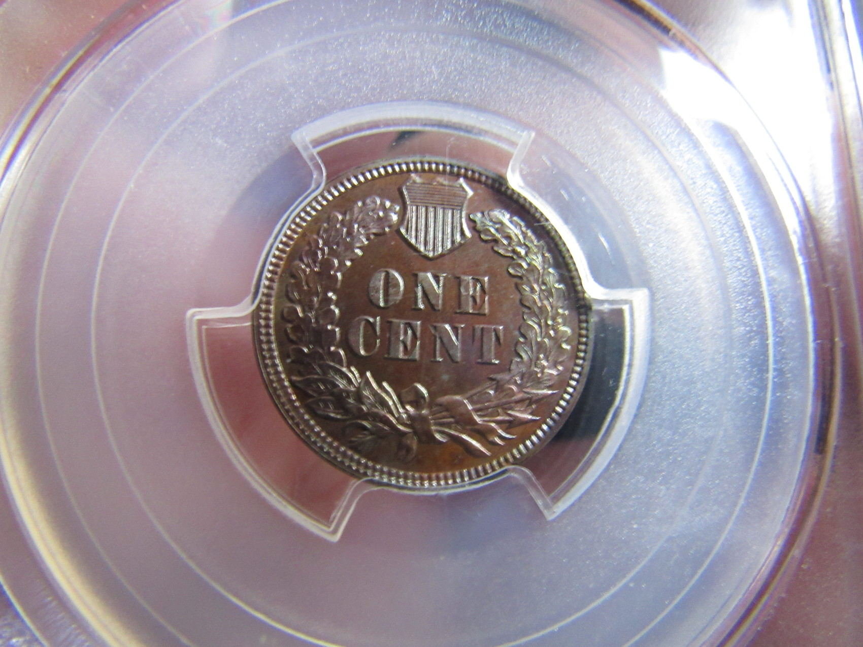 1891-Indian-Cent-Proof-PCGS-R/B--Redo