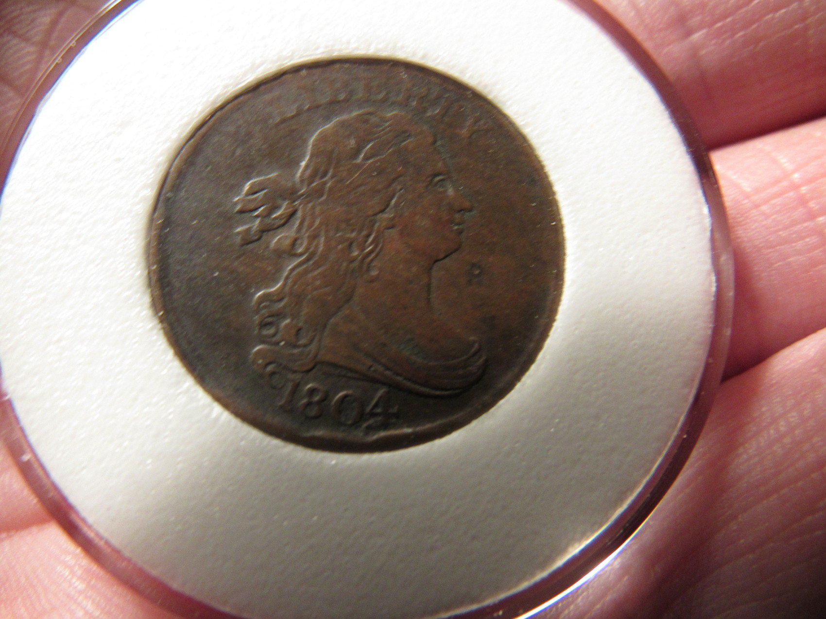 5-Draped-Bust-Half-Cents-Raw-Ungraded