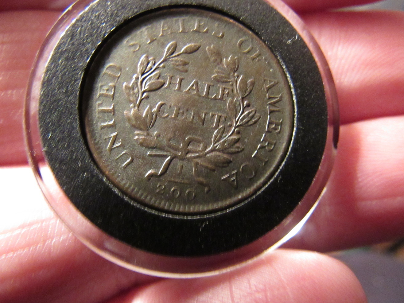 5-Draped-Bust-Half-Cents-Raw-Ungraded