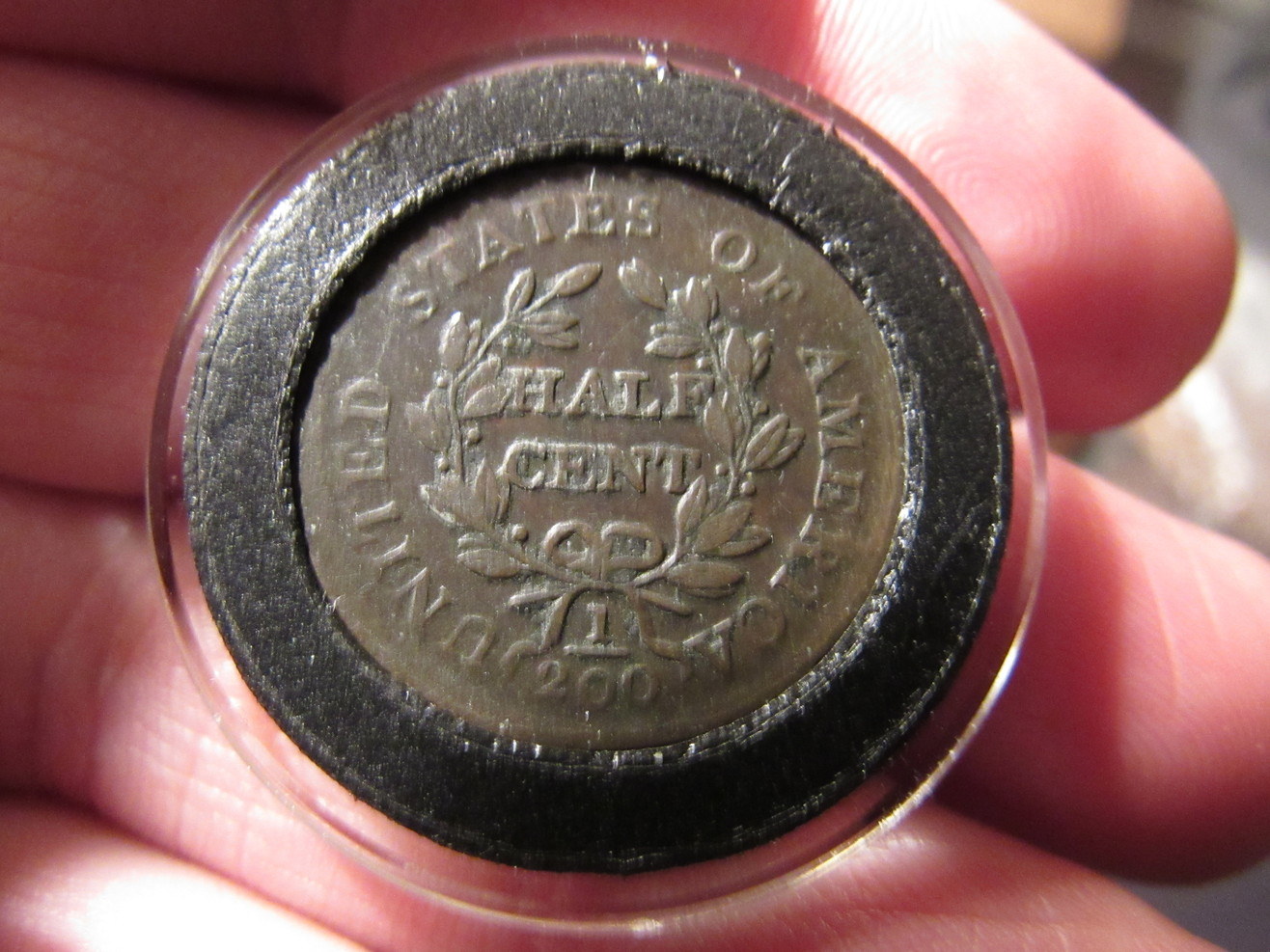5-Draped-Bust-Half-Cents-Raw-Ungraded