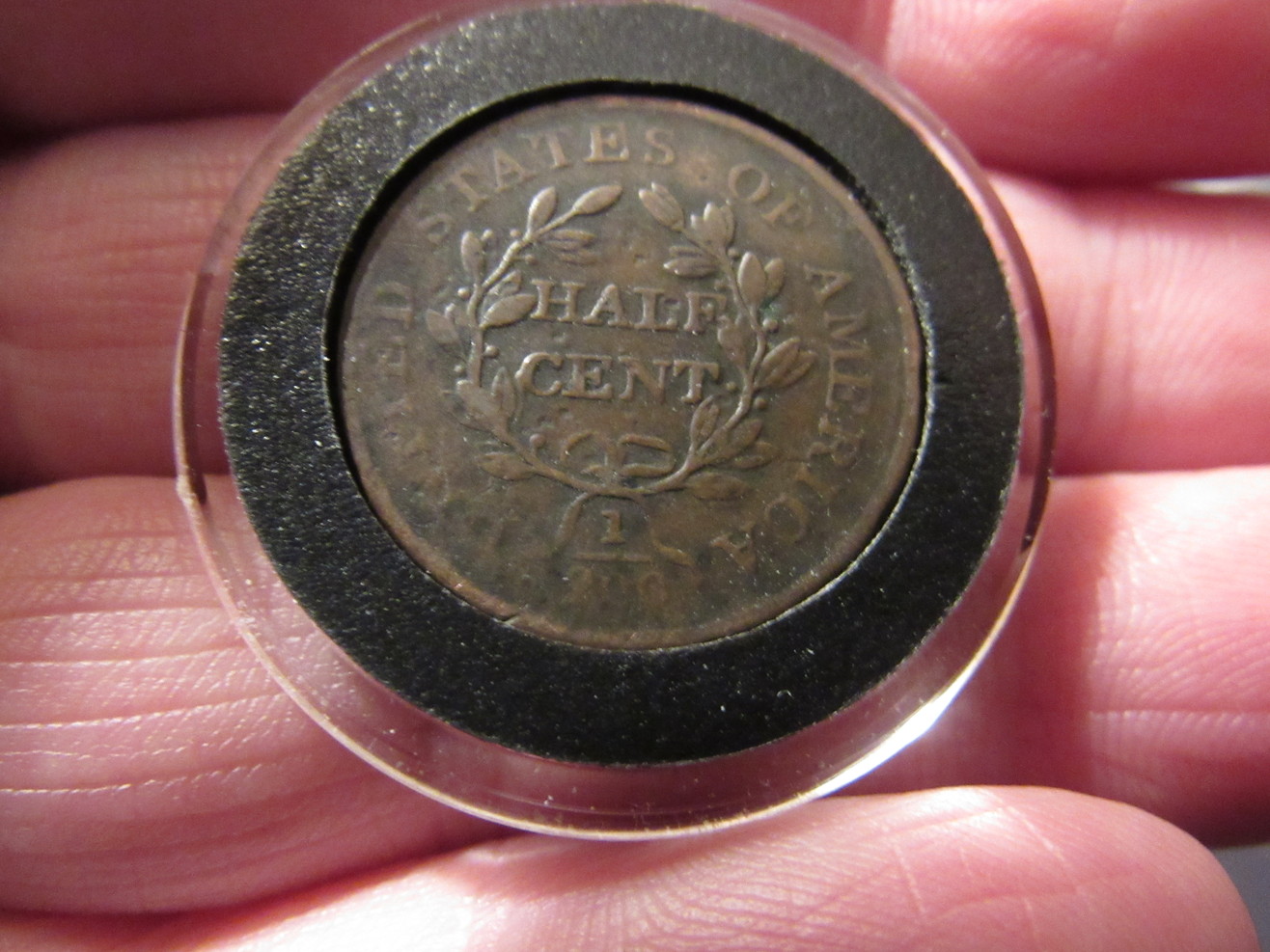 5-Draped-Bust-Half-Cents-Raw-Ungraded