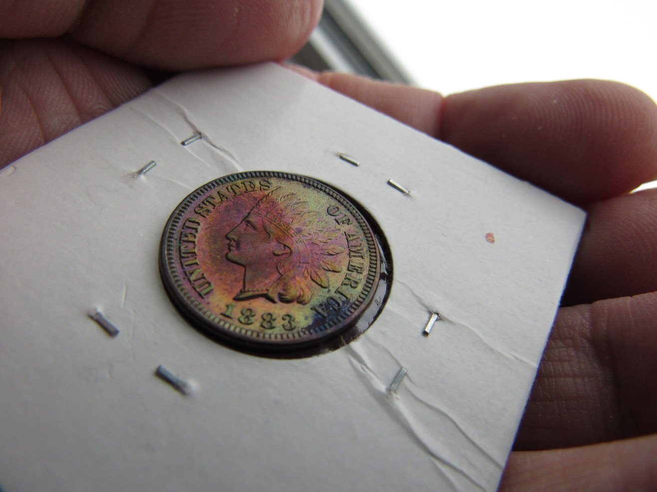 1883-IHP-Proof-Raw-Colorful