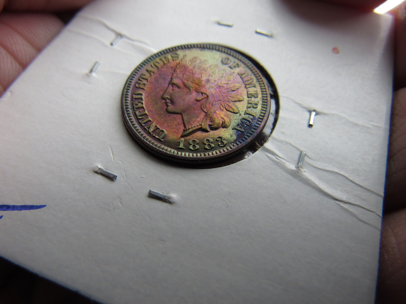 1883-IHP-Proof-Raw-Colorful