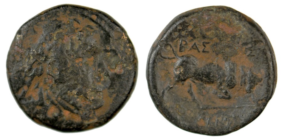 Seleucus-I-Nicator-Pick-Up