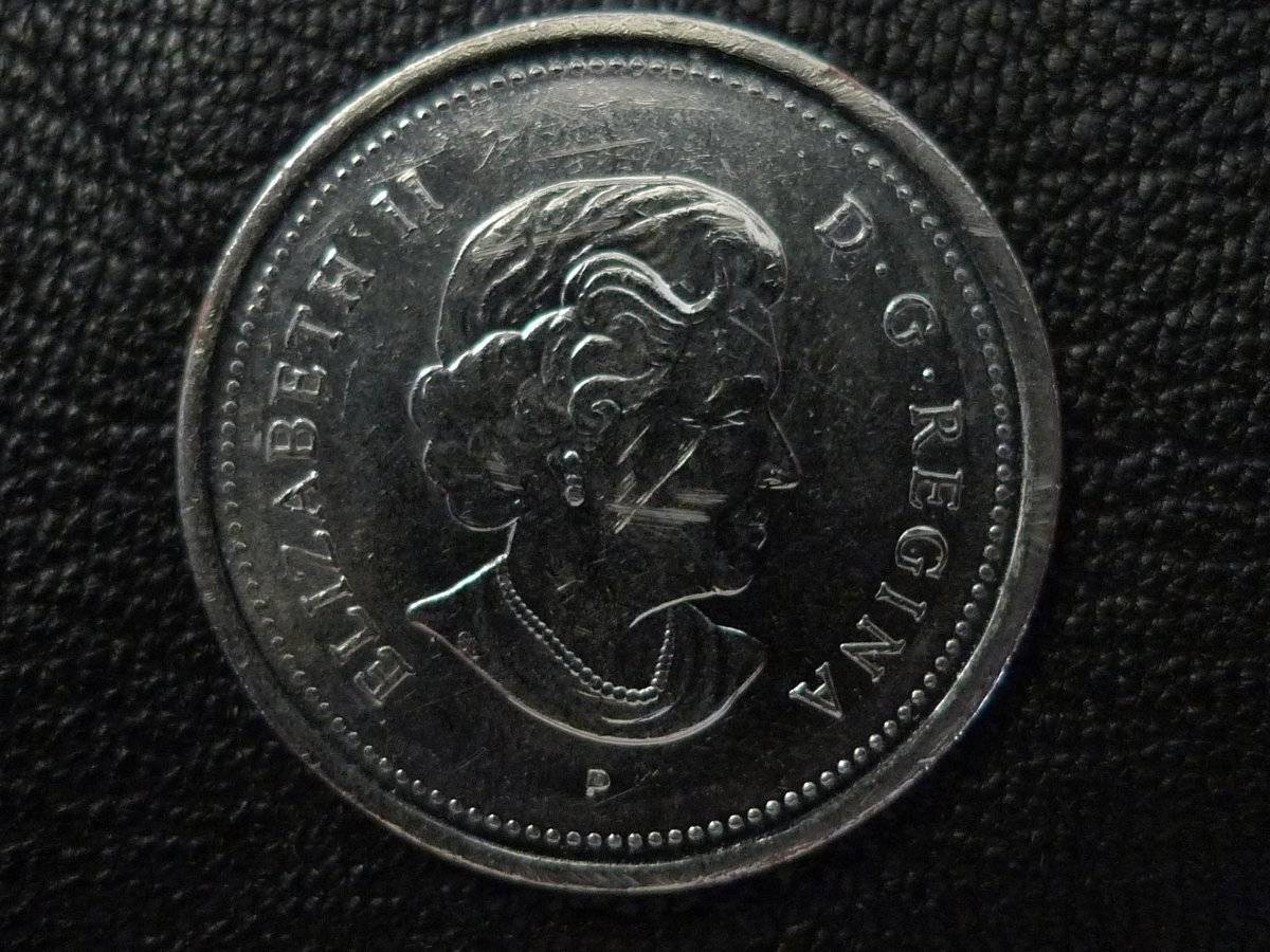 Post-Your-Coins-Representing-The-Animal-Kingdom.