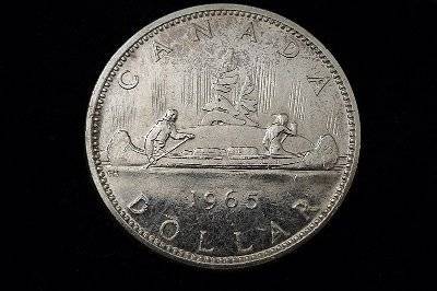 166-Days-Of-Yakko's-World-Coins