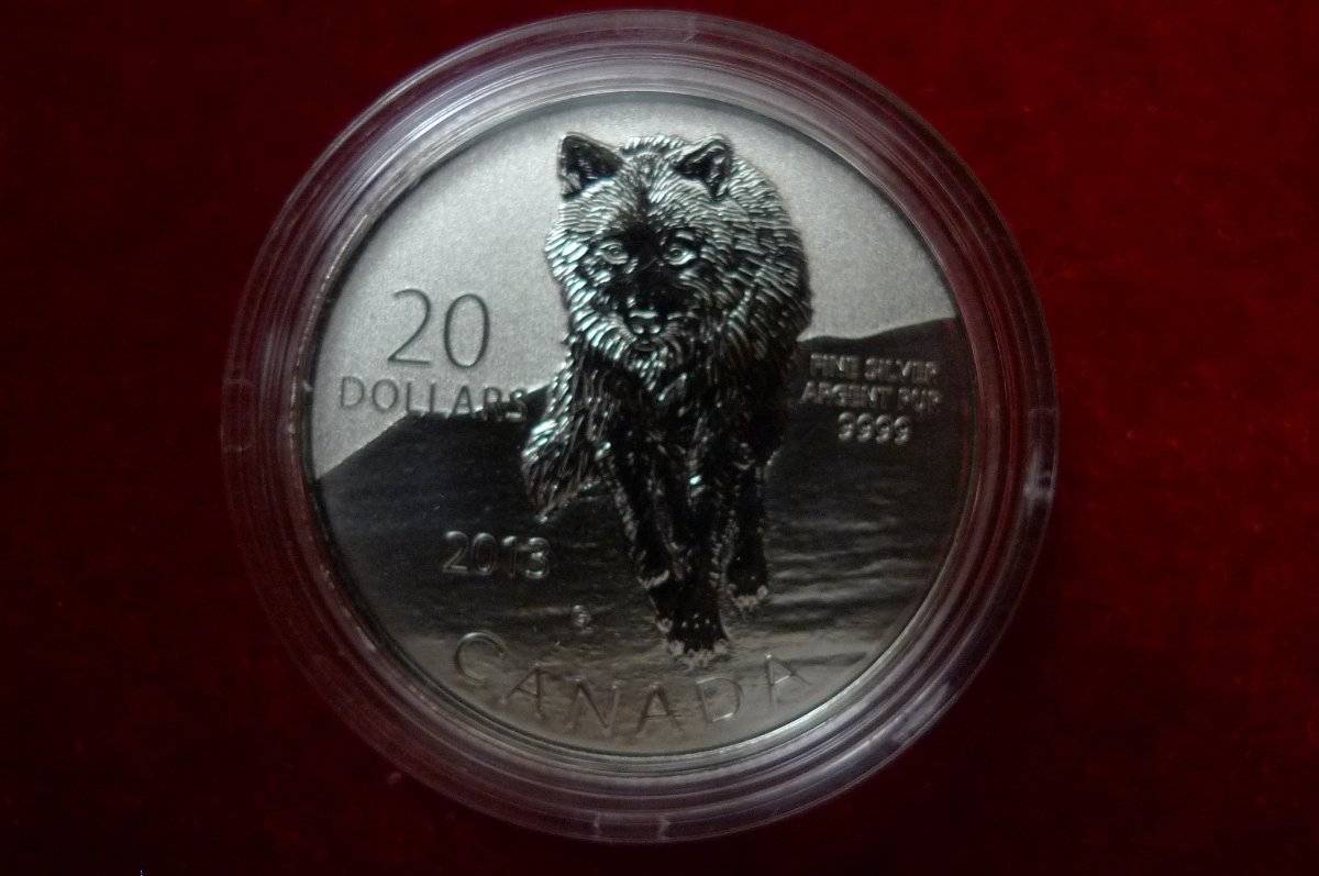 Post-Your-Coins-Representing-The-Animal-Kingdom.
