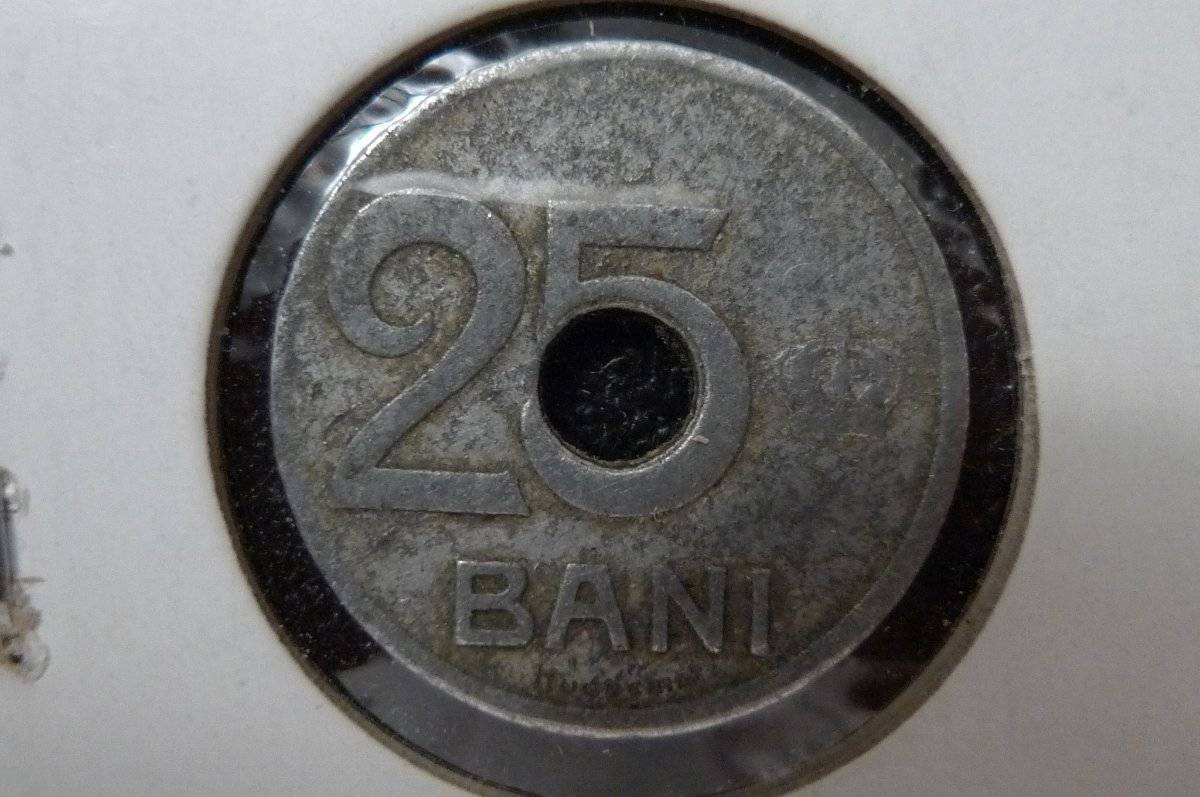 166-Days-Of-Yakko's-World-Coins
