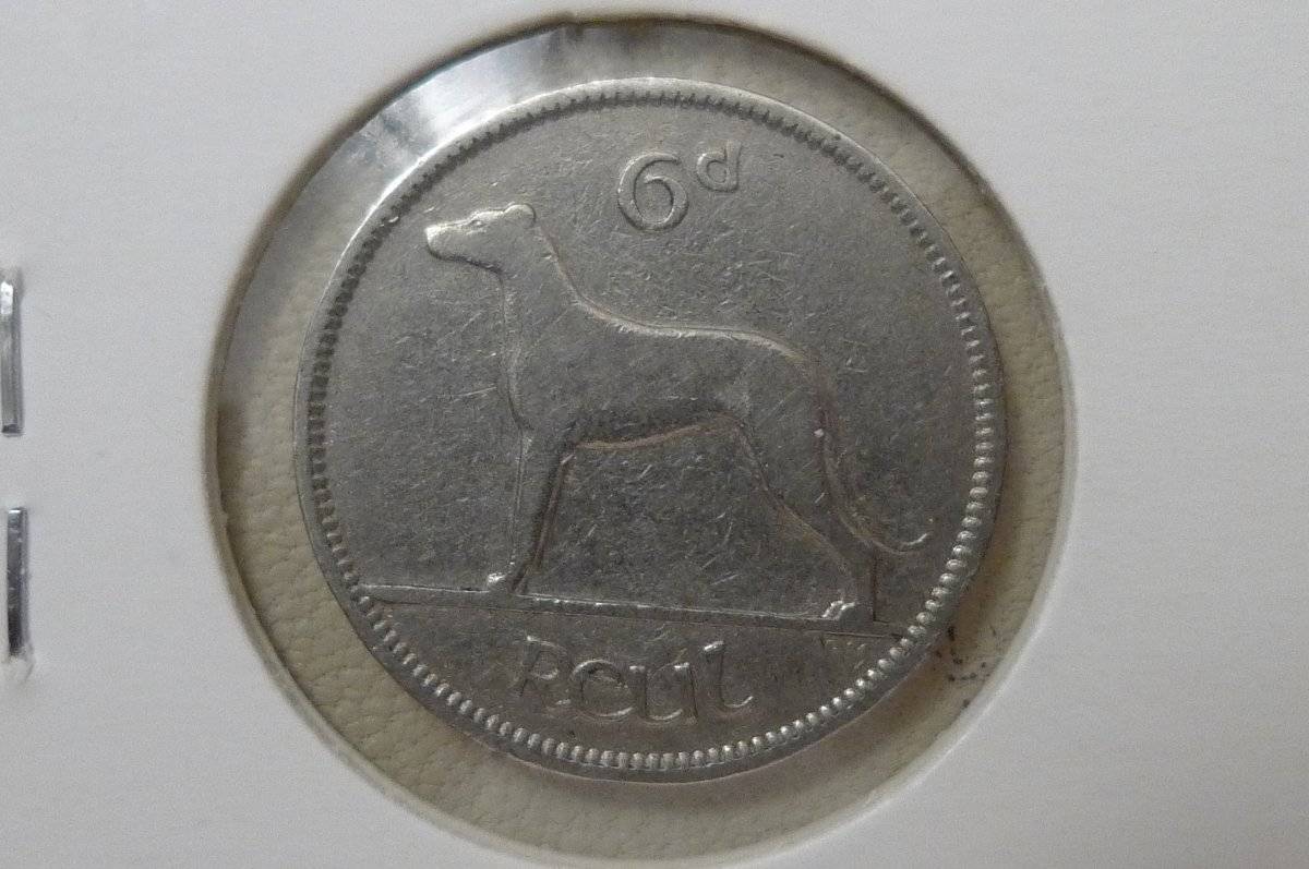 166-Days-Of-Yakko's-World-Coins