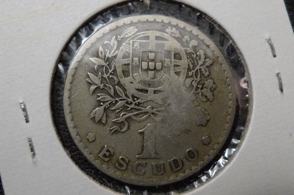 166-Days-Of-Yakko's-World-Coins