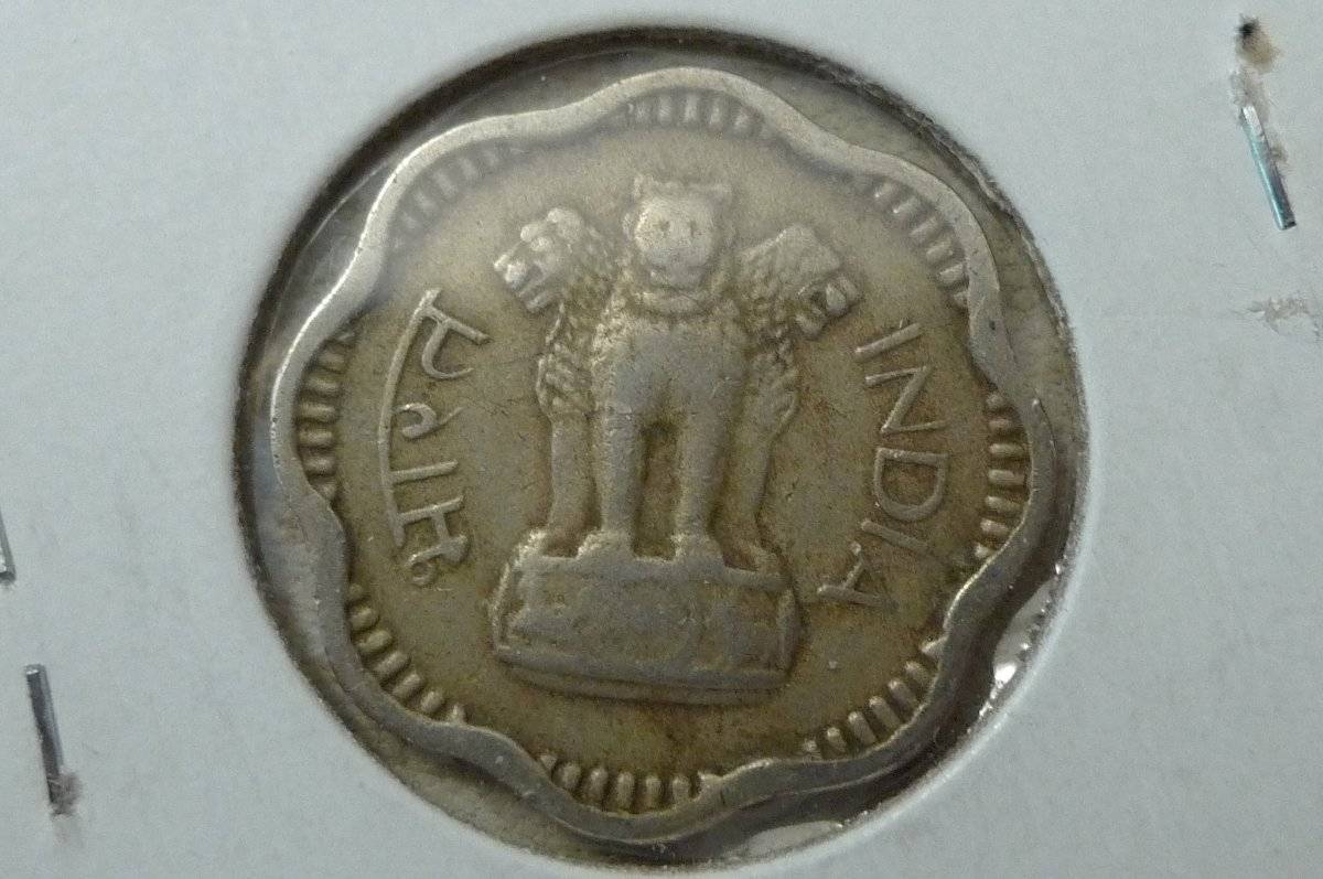 166-Days-Of-Yakko's-World-Coins