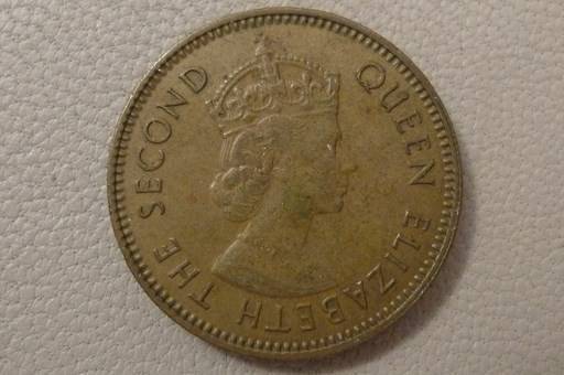 166-Days-Of-Yakko's-World-Coins