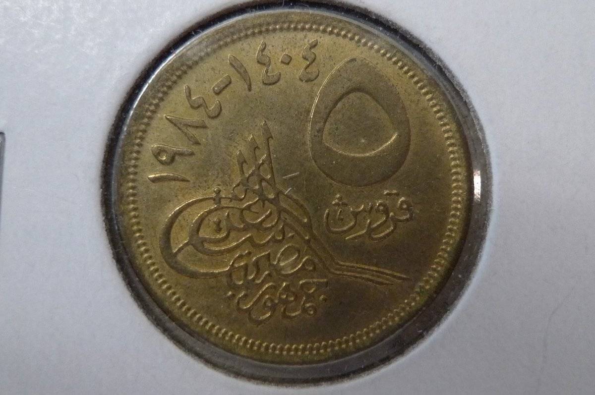 166-Days-Of-Yakko's-World-Coins