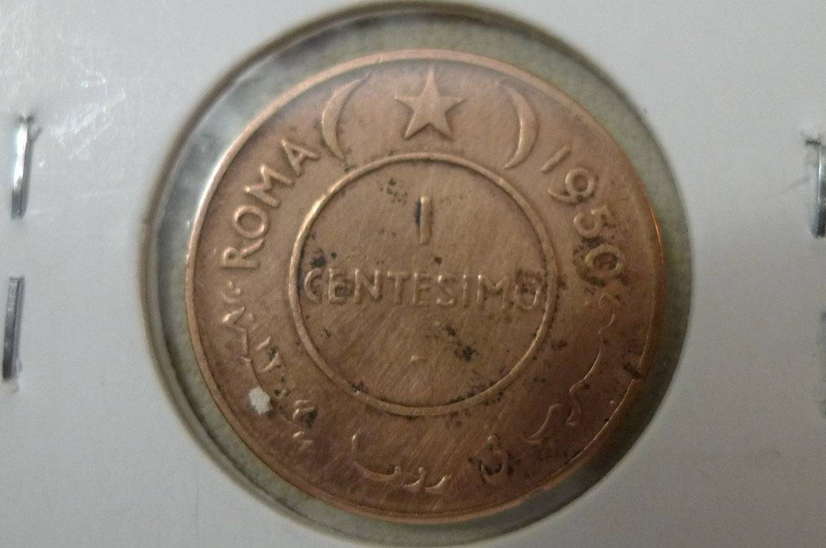 166-Days-Of-Yakko's-World-Coins