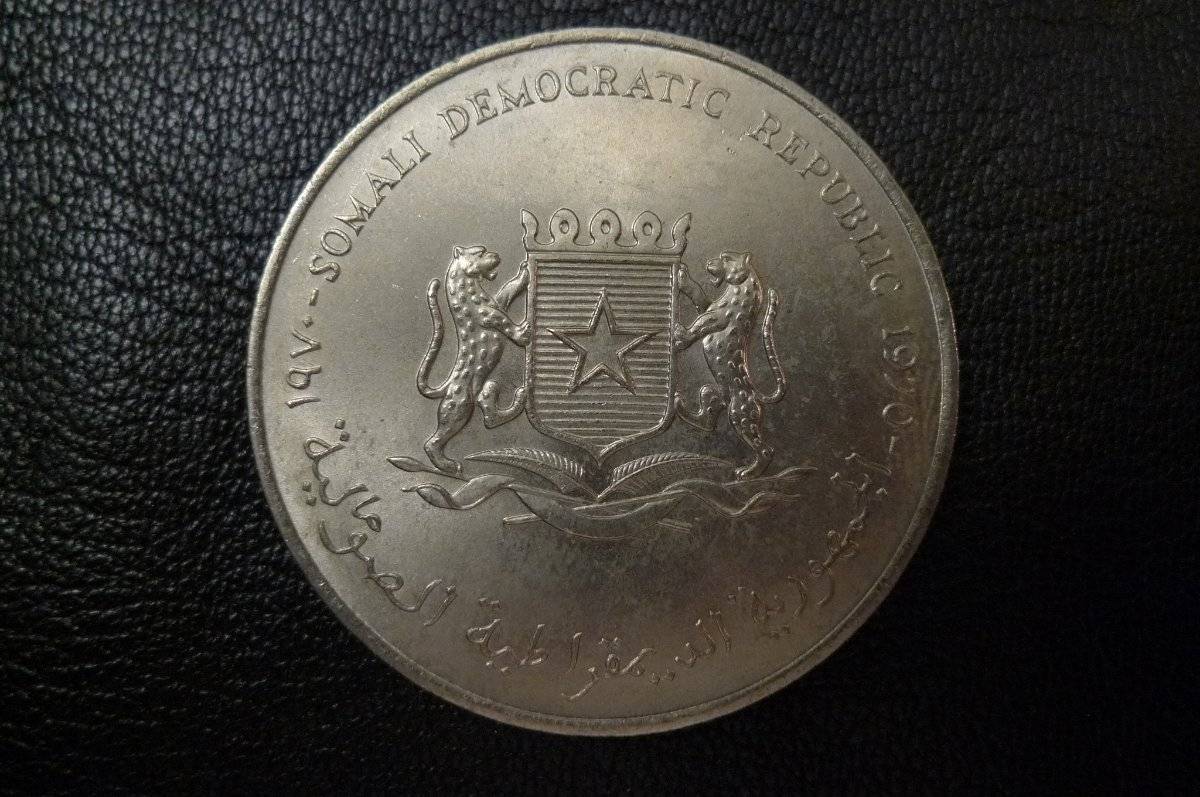 166-Days-Of-Yakko's-World-Coins