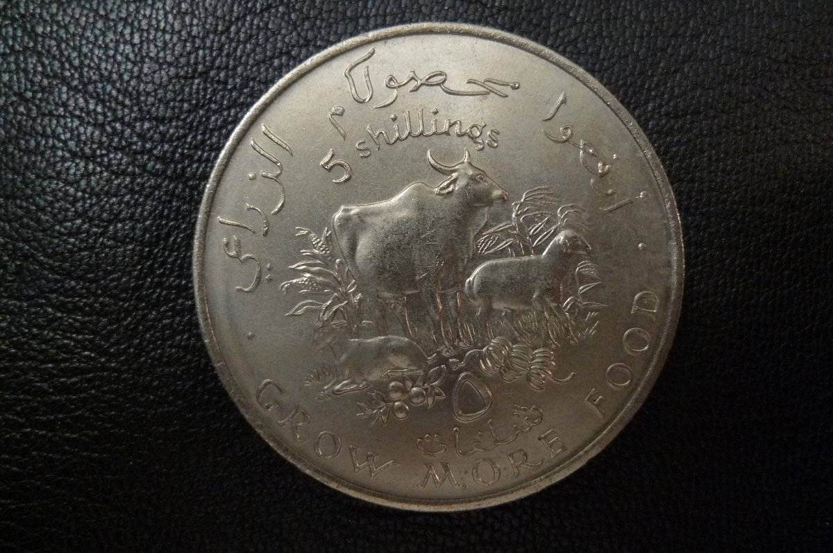 166-Days-Of-Yakko's-World-Coins