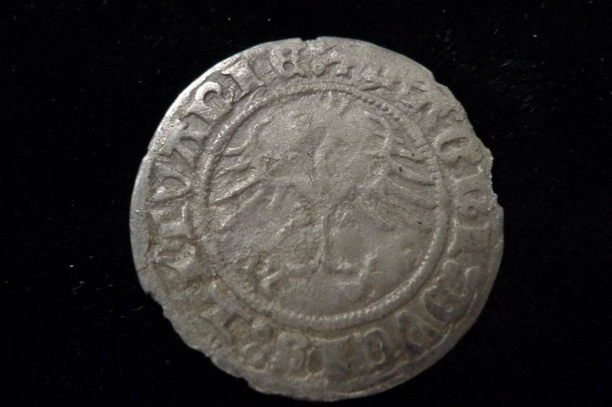 Post-Your-Coins-Representing-The-Animal-Kingdom.