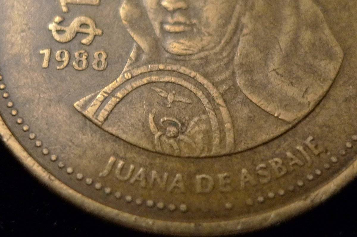 Post-Your-Coins-Representing-The-Animal-Kingdom.