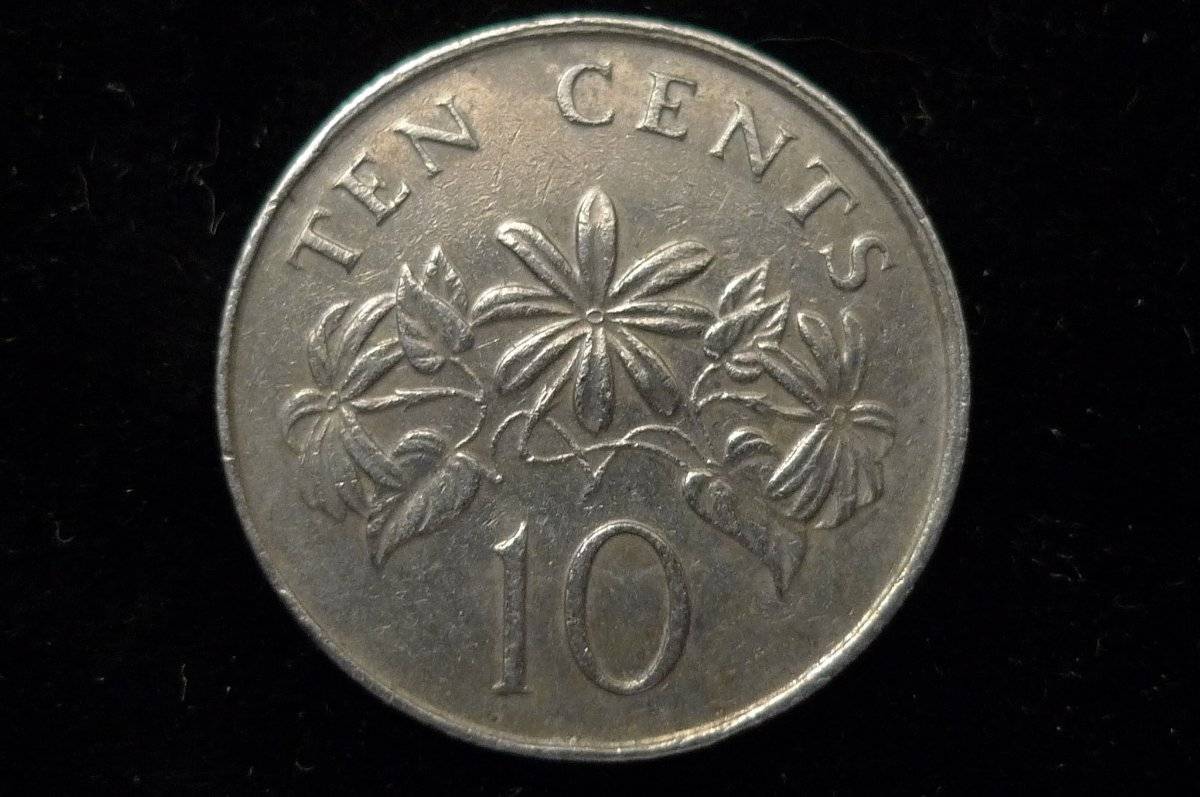 Post-Your-Lion-Coins!