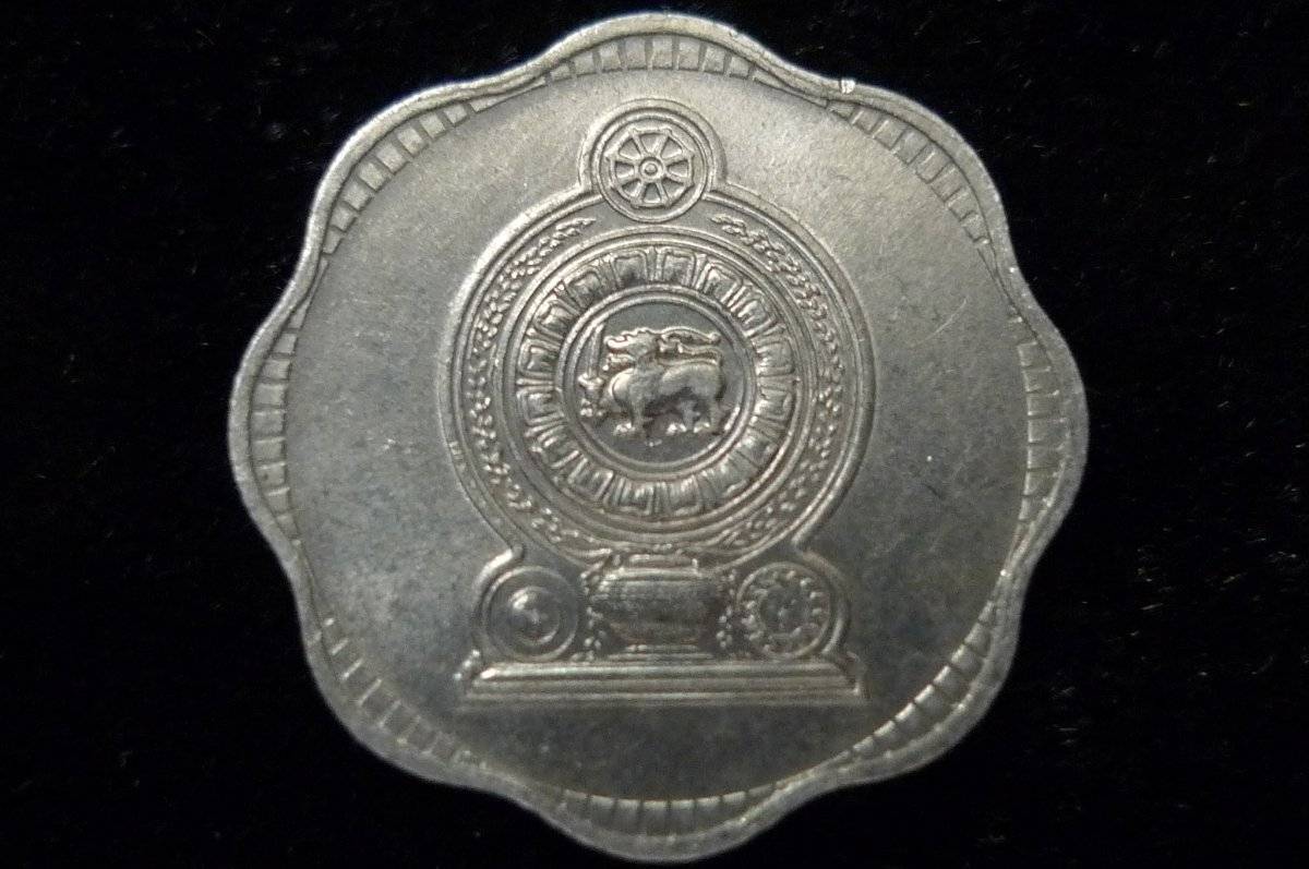 Post-Your-Lion-Coins!