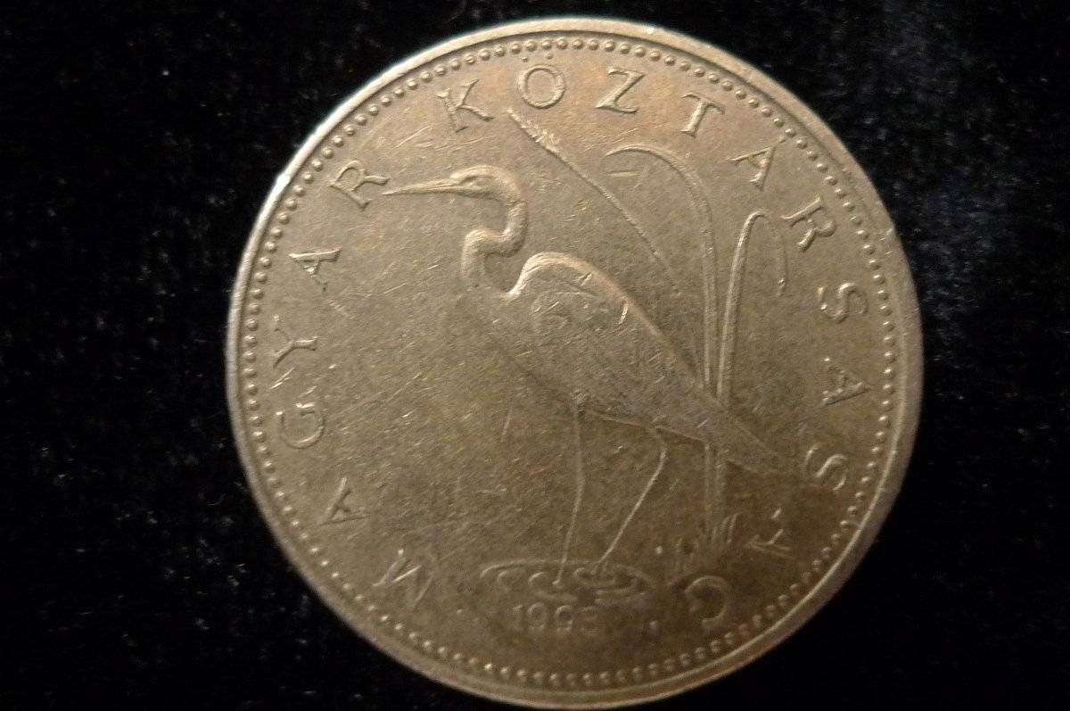 Post-Your-Coins-Representing-The-Animal-Kingdom.