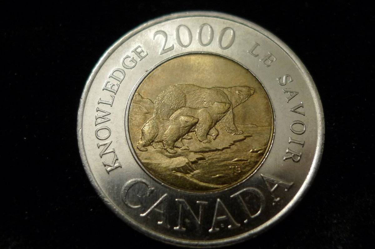 Post-Your-Coins-Representing-The-Animal-Kingdom.