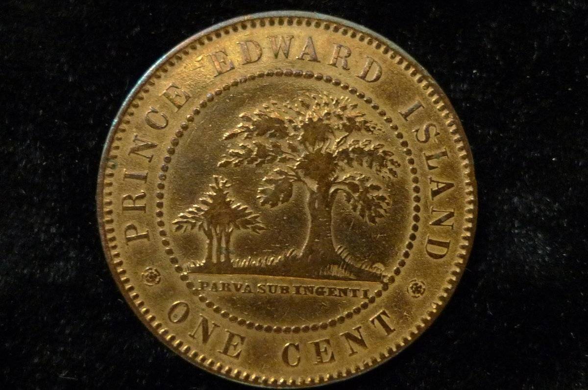 Post-Your-Coins-With-Hats