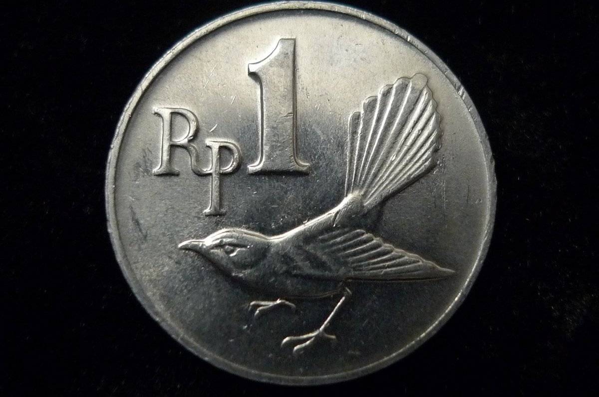 Post-Your-Coins-Representing-The-Animal-Kingdom.