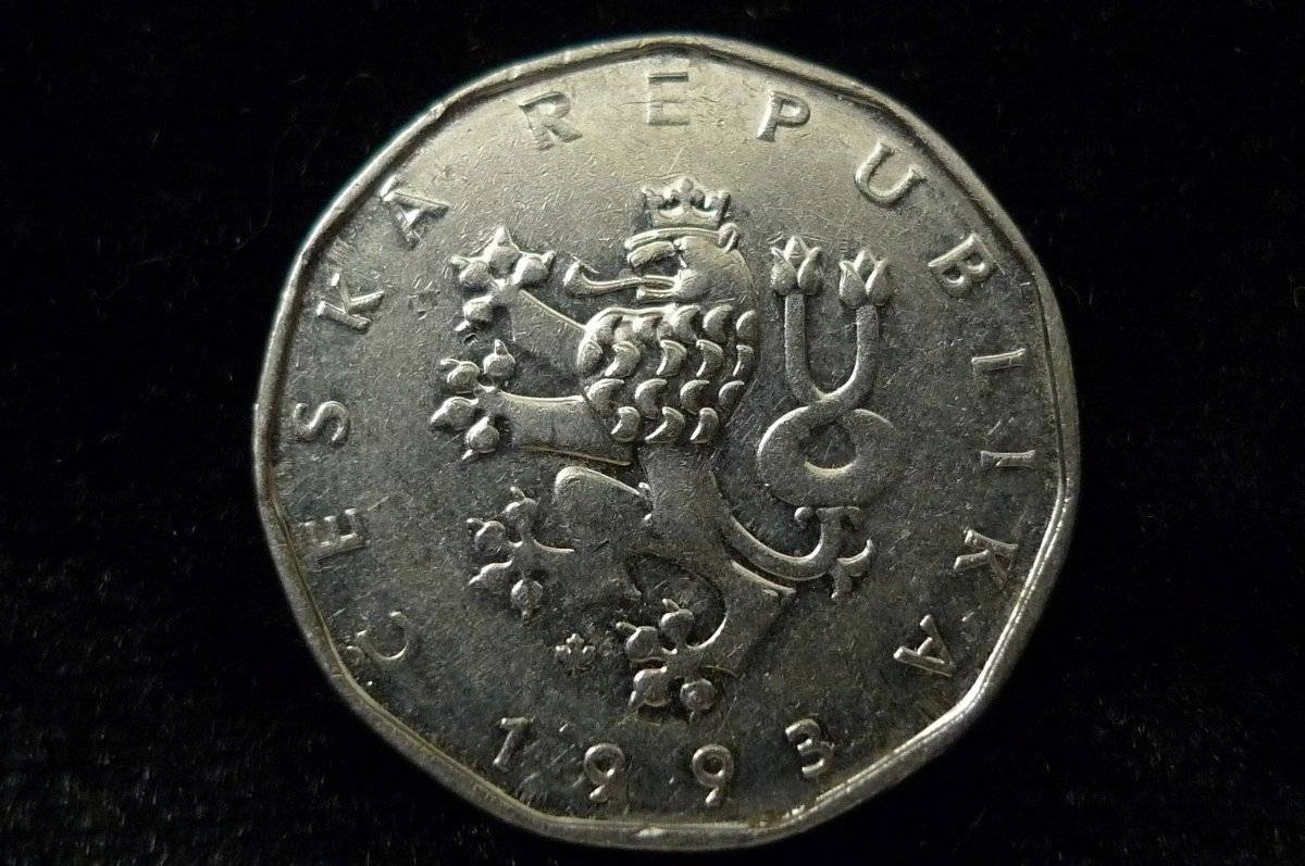 Post-Your-Lion-Coins!
