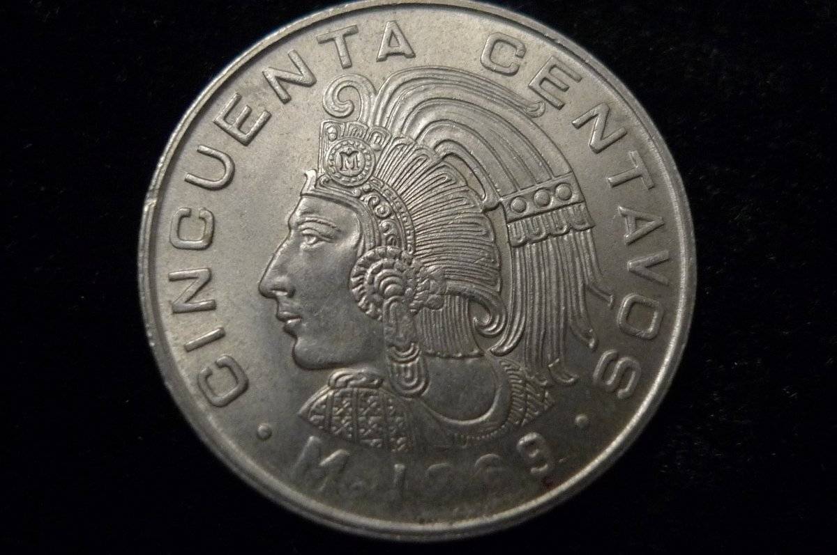 Post-Your-Coins-Representing-The-Animal-Kingdom.