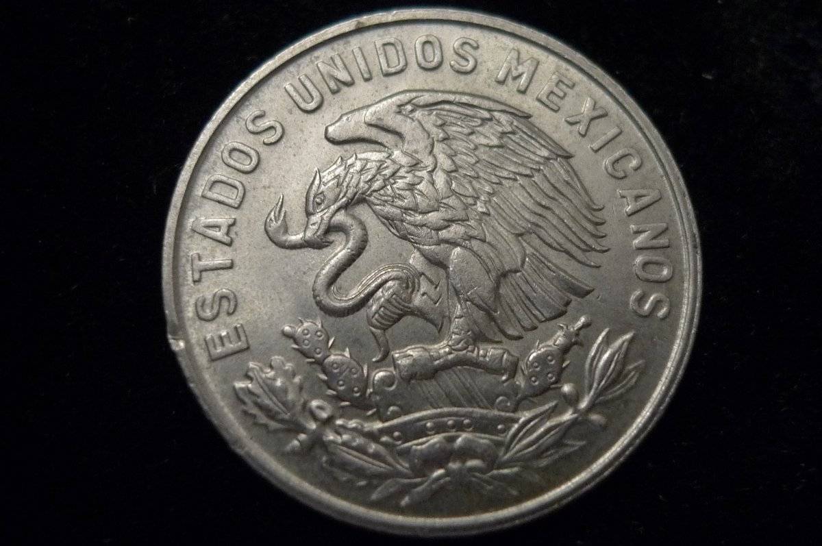 Post-Your-Coins-Representing-The-Animal-Kingdom.