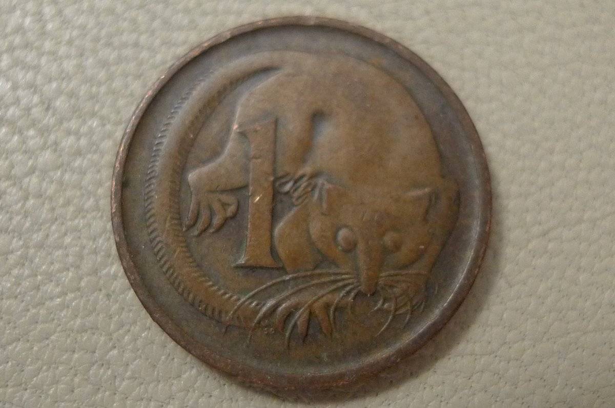 Post-Your-Coins-Representing-The-Animal-Kingdom.