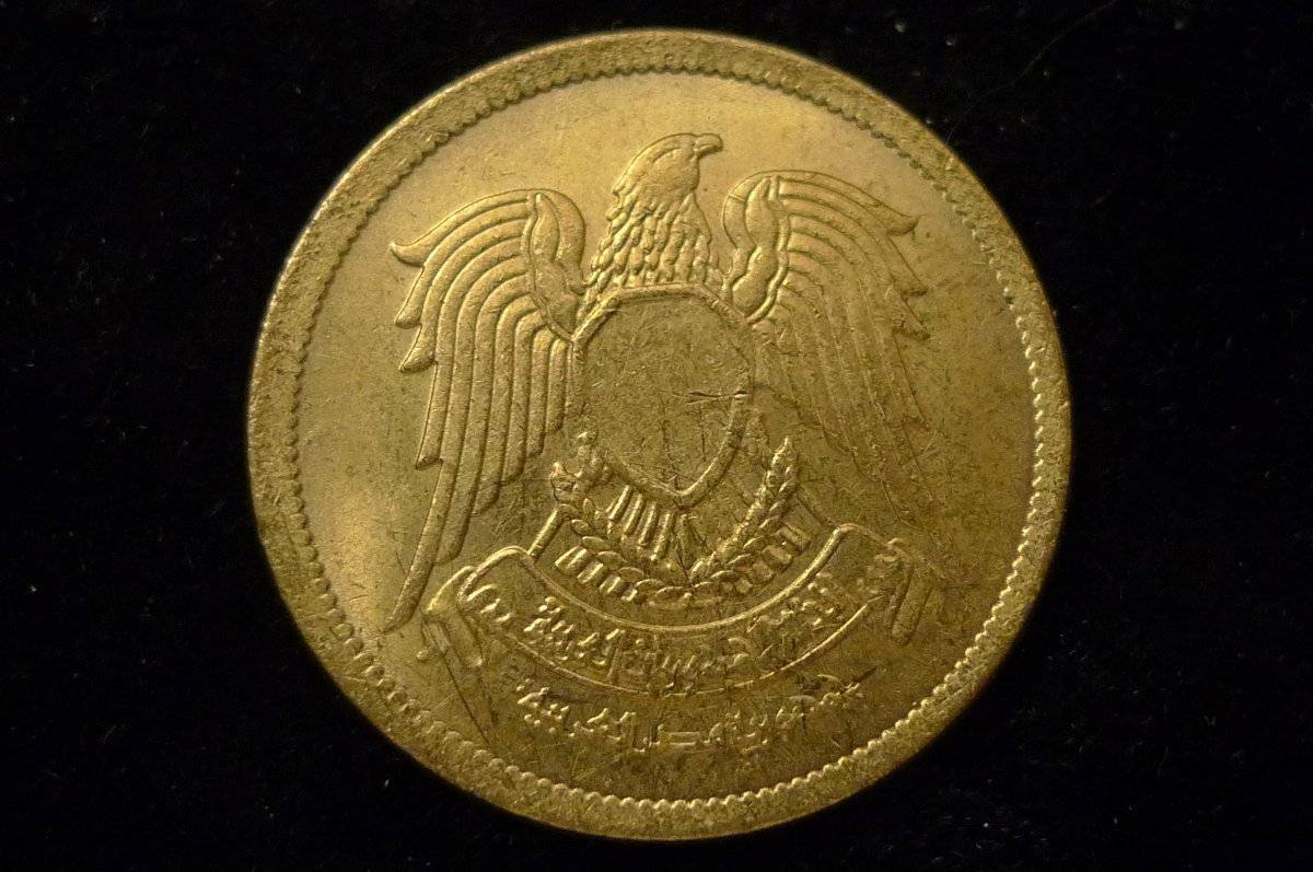 Post-Your-Coins-Representing-The-Animal-Kingdom.