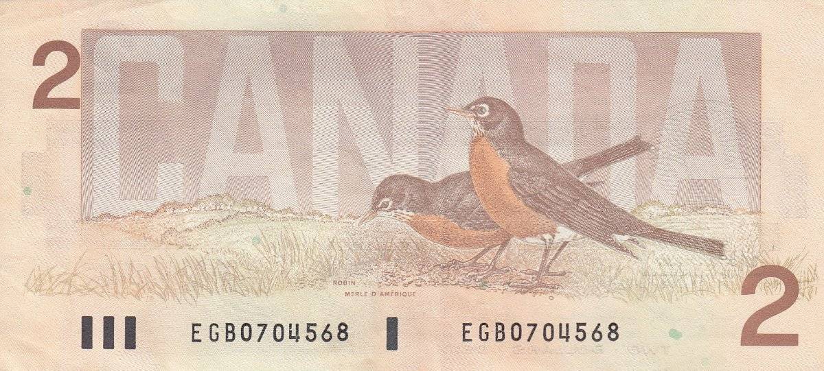 Post-Your-Avian-Notes!