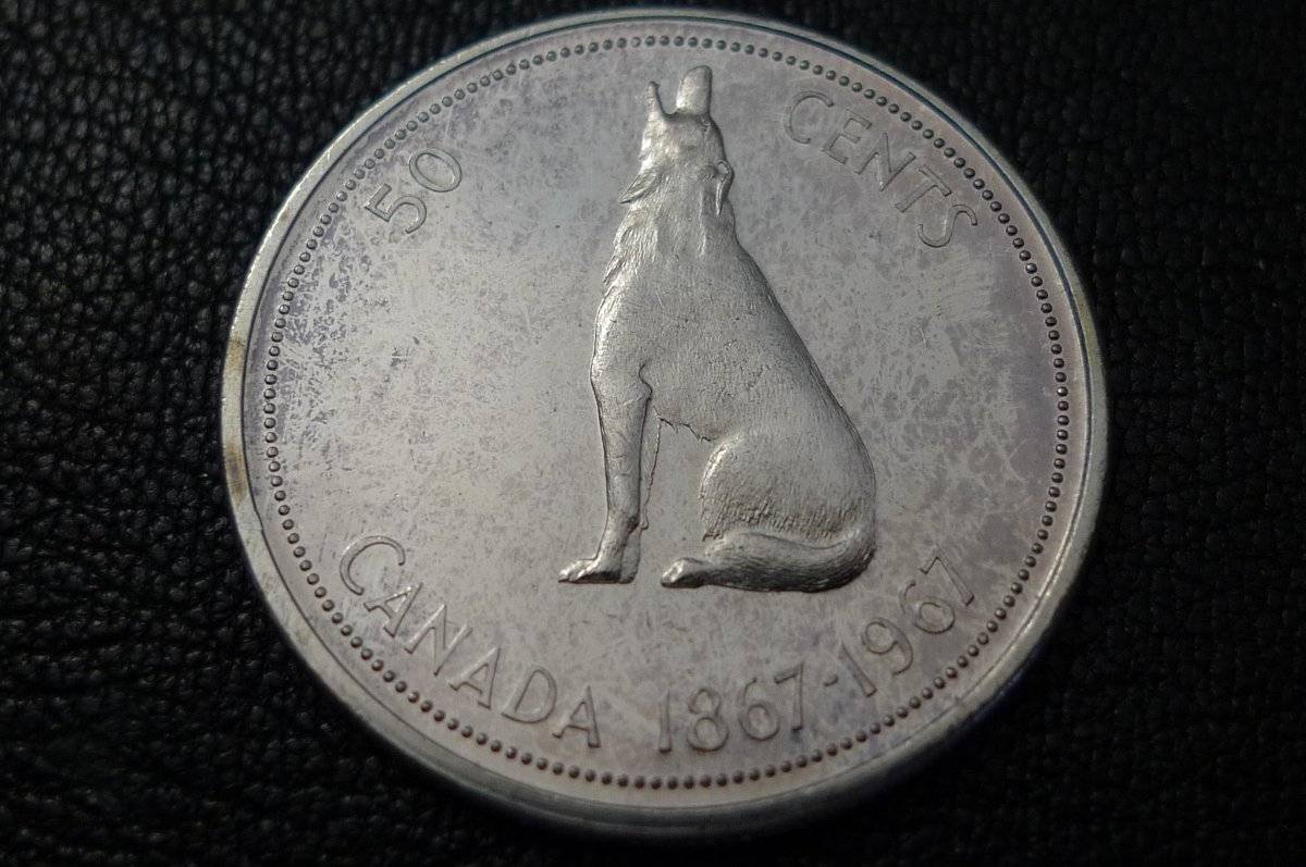 Post-Your-Coins-With-Hats