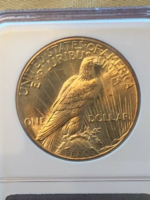 1925-Peace-Dollar---Undergraded-Or-Worth-Sending-To-Cac?