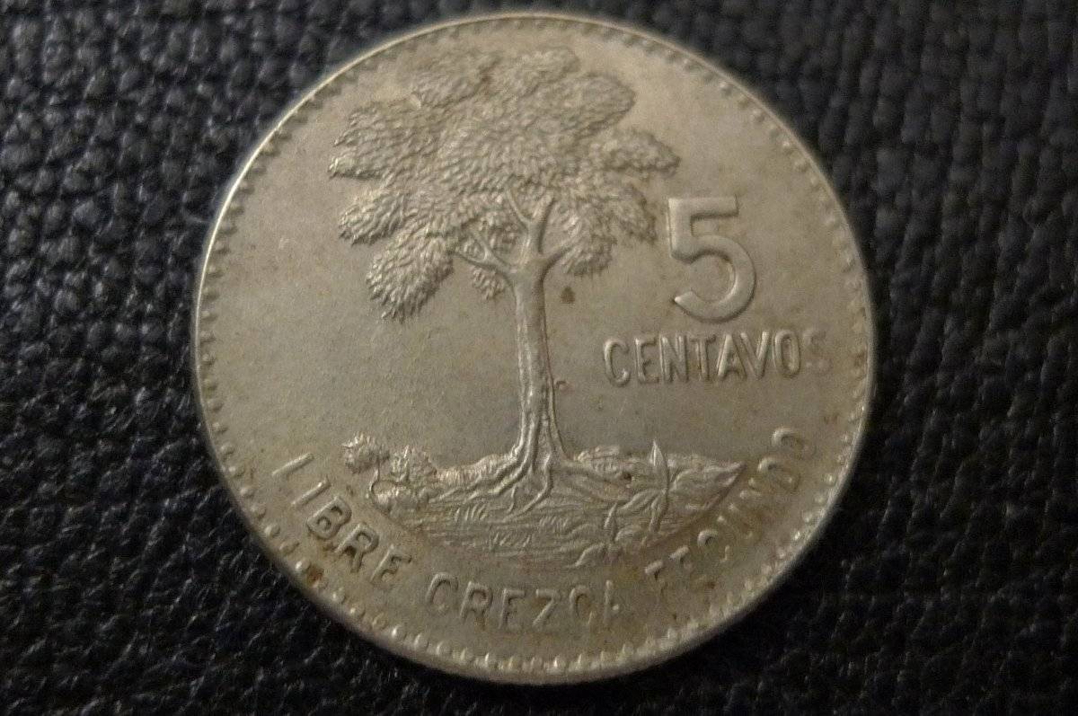 Post-Your-Coins-Representing-The-Animal-Kingdom.