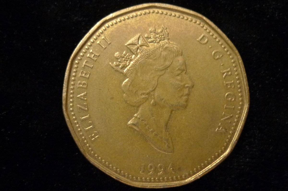 Post-Your-Coins-With-Horses