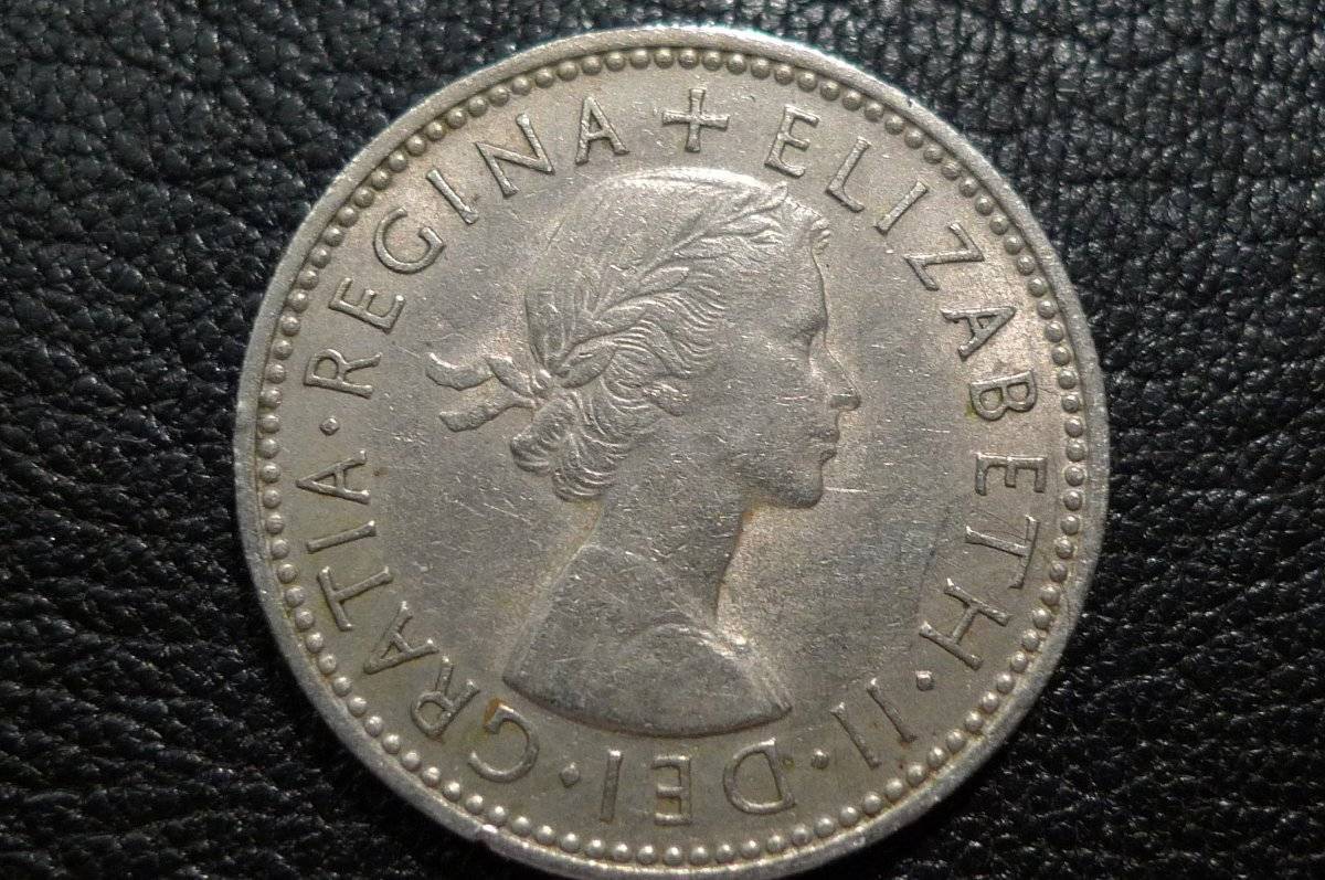Post-Your-Lion-Coins!