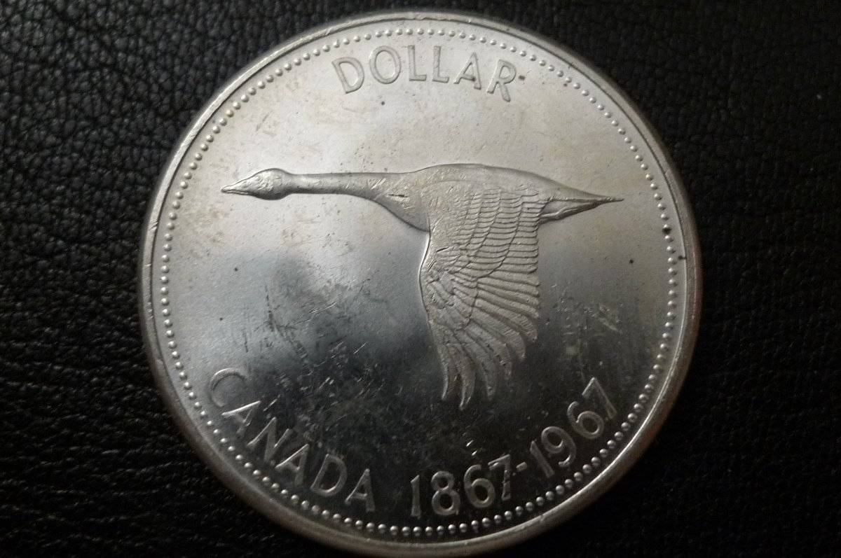 Post-Your-Coins-With-Hats
