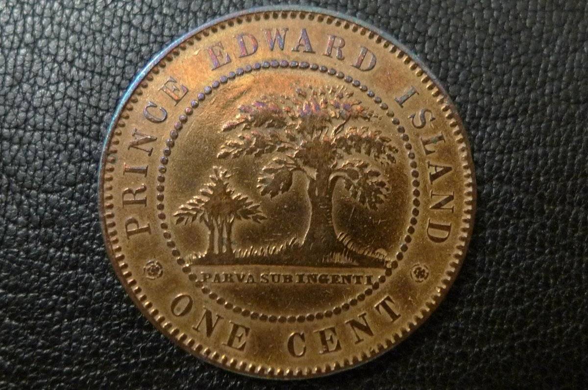 Post-Your-Coins-With-Hats
