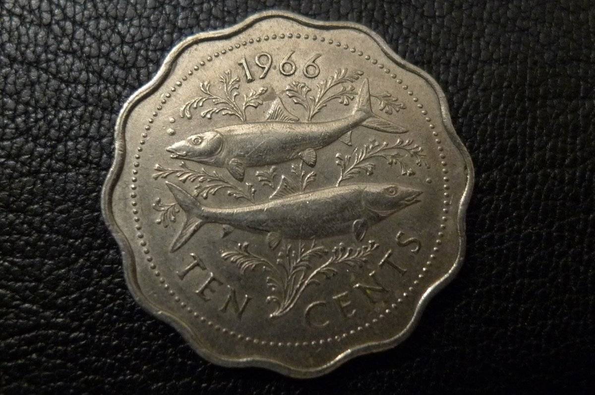 Post-Your-Coins-Representing-The-Animal-Kingdom.