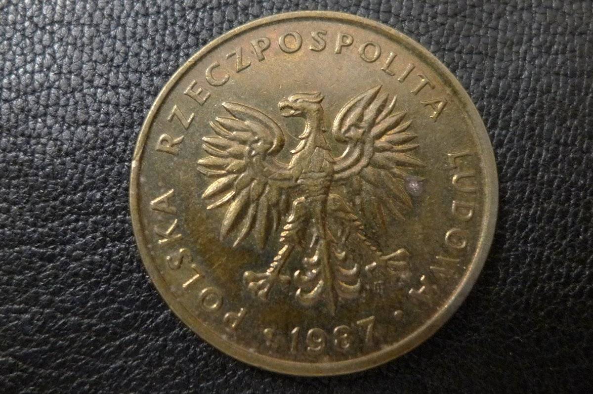Post-Your-Coins-Representing-The-Animal-Kingdom.
