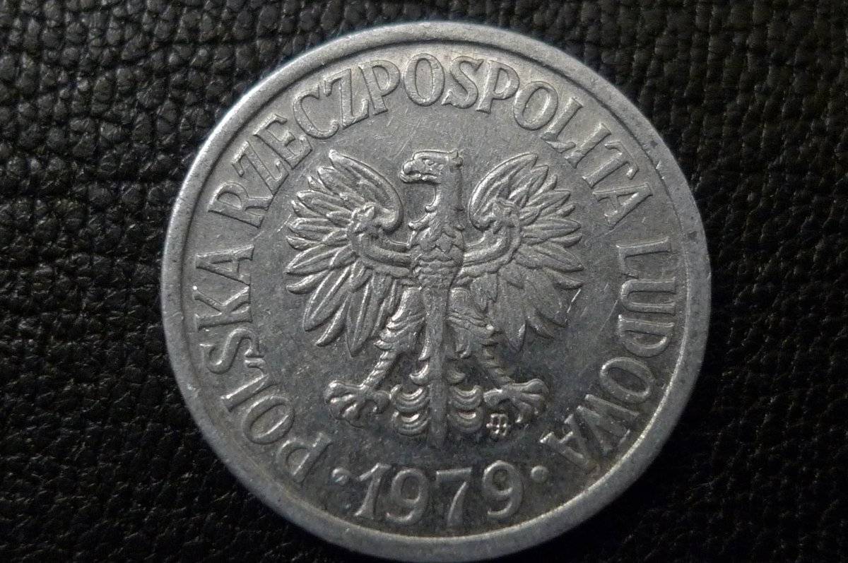 Post-Your-Coins-Representing-The-Animal-Kingdom.