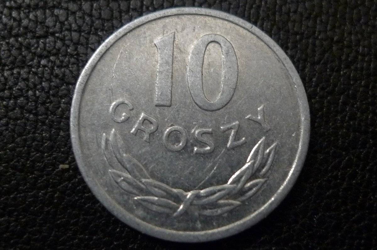 Post-Your-Coins-Representing-The-Animal-Kingdom.