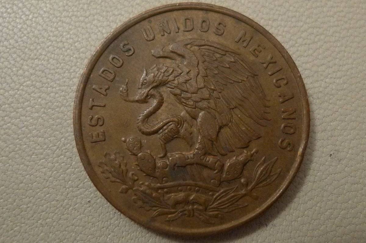 Post-Your-Coins-Representing-The-Animal-Kingdom.