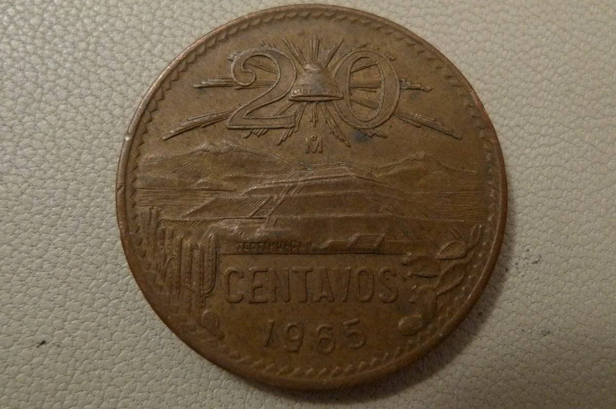 Post-Your-Coins-Representing-The-Animal-Kingdom.