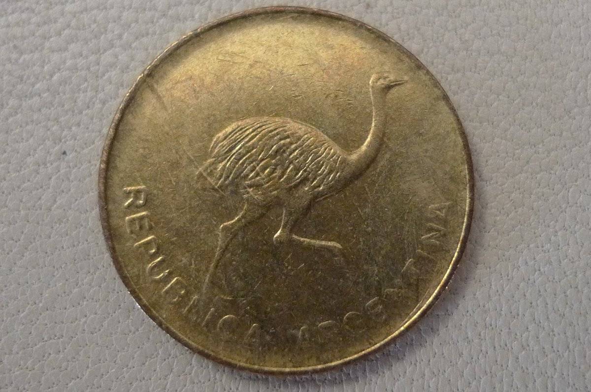 Post-Your-Coins-Representing-The-Animal-Kingdom.