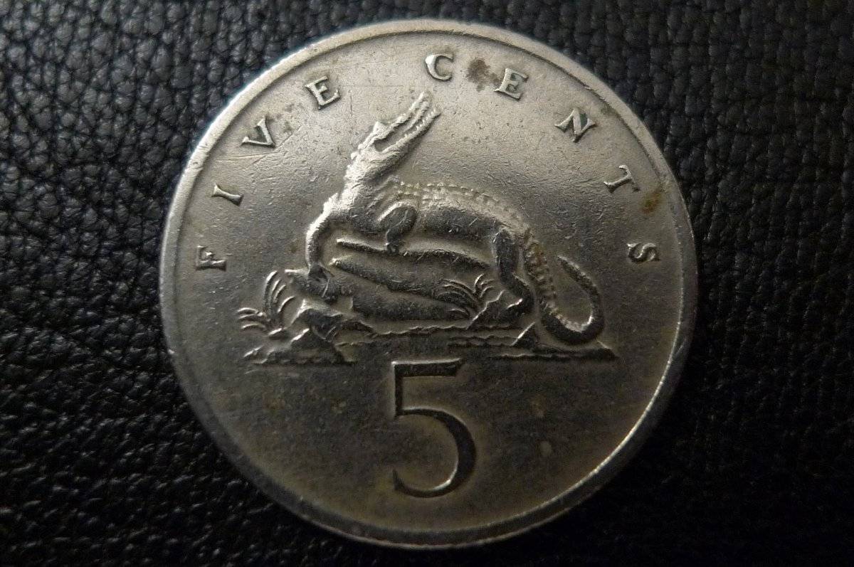 Post-Your-Coins-Representing-The-Animal-Kingdom.